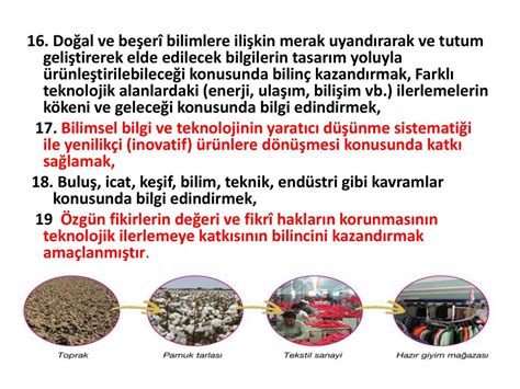 Bilgi Üzerine: Buluş ve Keşif Perspektifi