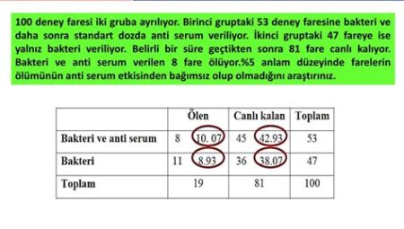 Bilgi Üzerine: Formül ve Istatistik Perspektifi