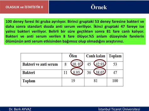 Bilgi Üzerine: Formül ve Istatistik Perspektifi