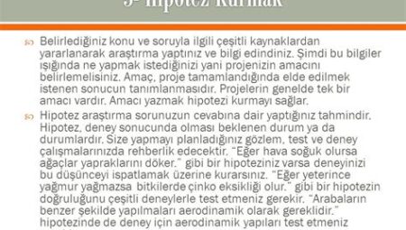 Bilgi Üzerine: Hipotez ve Formül Perspektifi