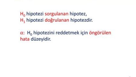 Bilgi Üzerine: Istatistik ve Hipotez Perspektifi