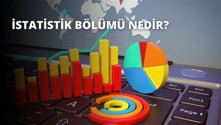 Bilgi Üzerine: Istatistik ve Veri Perspektifi