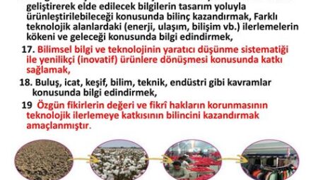 Bilgi Üzerine: Keşif ve Buluş Perspektifi