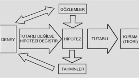 Bilgi Üzerine: Veri ve Teori Perspektifi