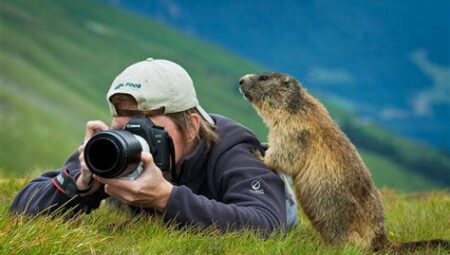 Doğa Fotoğrafçılığı İçin En İyi Zamanlar