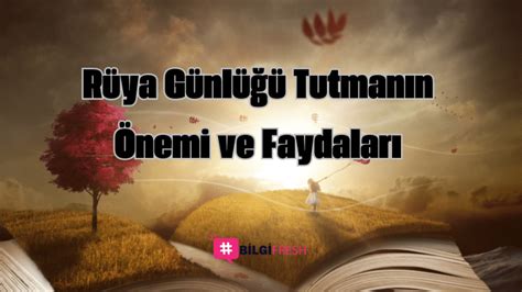 Doğa Günlüğü Tutmanın Faydaları