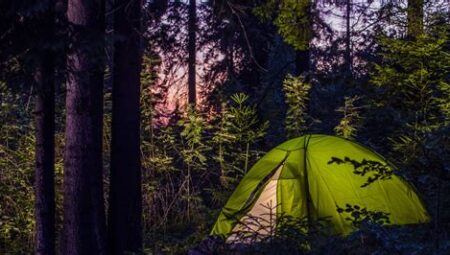 Doğa ve Kamp Alanında Psikolojik Etkiler