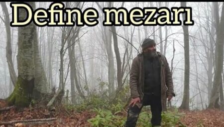 Doğada Gece Kampı