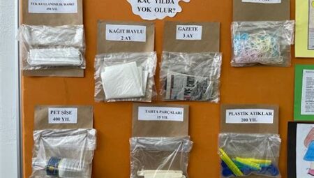 Doğada Gözlemcilik
