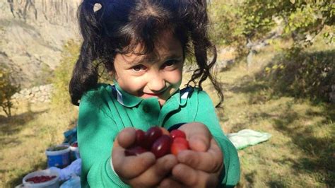 Doğada Kendi Kendine Yolculuk