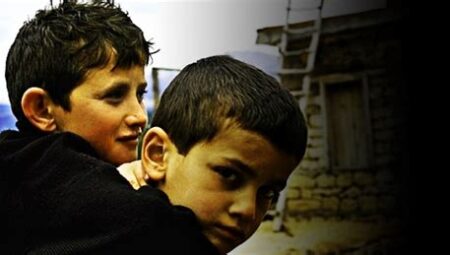 Doğada Kurulan Dostluklar