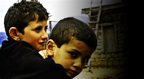 Doğada Kurulan Dostluklar