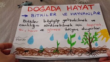 Doğada Öğrenilecek 10 Hayat Dersi