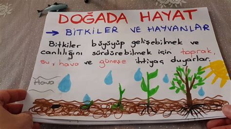Doğada Öğrenilecek 10 Hayat Dersi