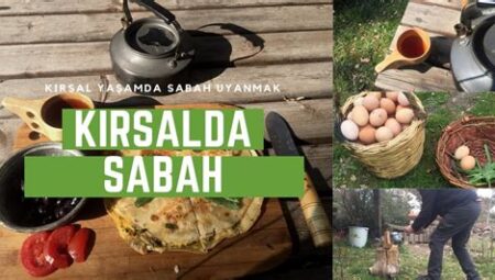 Doğada Sabah Rutini
