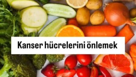Doğada Sağlıklı Yaşam Rehberi