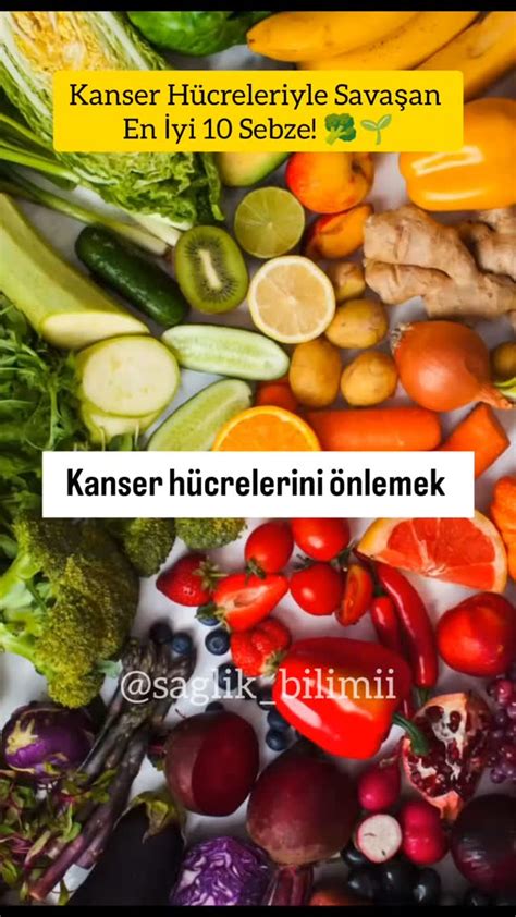 Doğada Sağlıklı Yaşam Rehberi