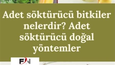 Doğal Reçeteler ve Bitkiler