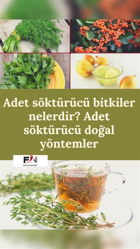 Doğal Reçeteler ve Bitkiler