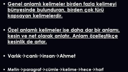 Genel Kültür Üzerine: Anlam ve Coğrafya Perspektifi