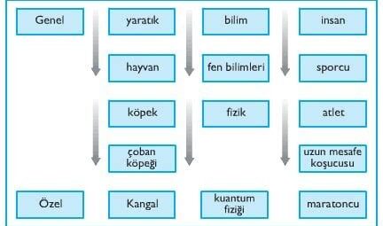 Genel Kültür Üzerine: Anlam ve Gelenek Perspektifi
