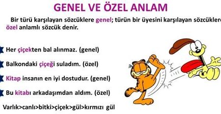 Genel Kültür Üzerine: Anlam ve Sanat Perspektifi