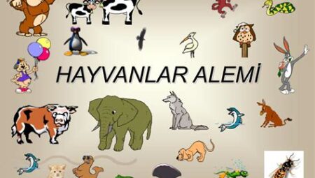 Hayvanlar Alemi Üzerine: Kuşlar ve Evrim Perspektifi