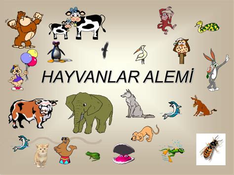 Hayvanlar Alemi Üzerine: Kuşlar ve Evrim Perspektifi