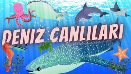 Hayvanlar Alemi Üzerine: Memeli ve Deniz Canlıları Perspektifi