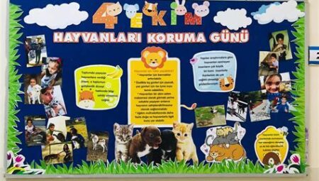 Hayvanlar Alemi Üzerine: Tür Koruma ve Avlanma Perspektifi