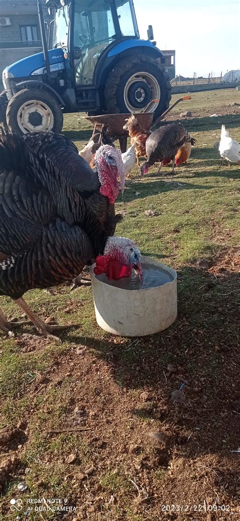 Tarih Üzerine: Lider ve Fetih Perspektifi